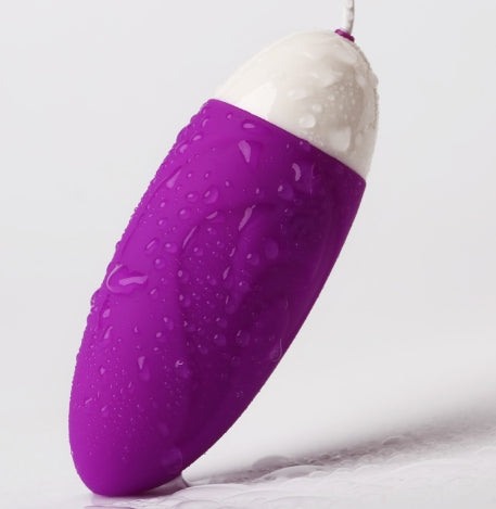 APP Wireless Silent Smart Vibrating Egg for Women