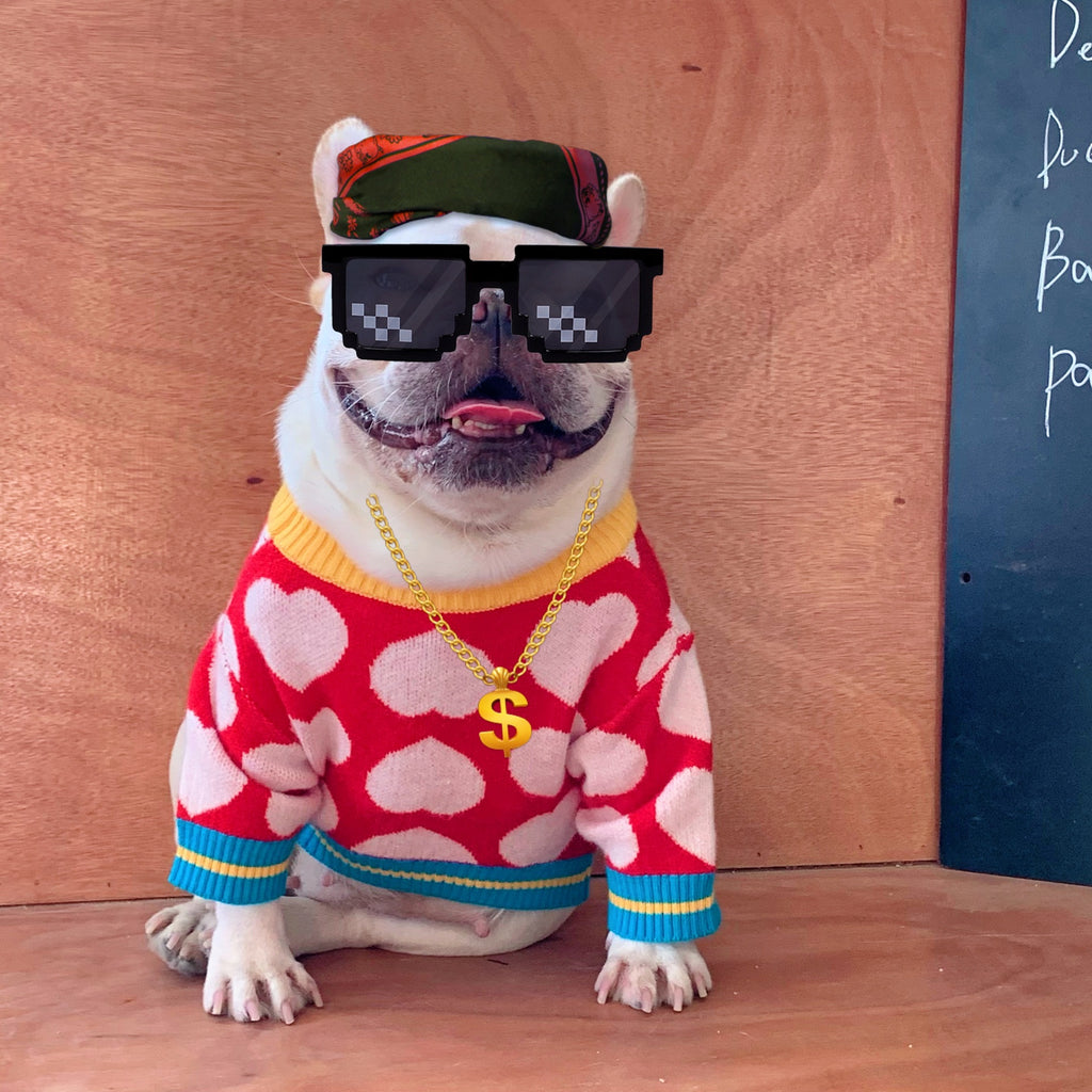 Trendy Pet Sweatshirts for Dogs and Cats (Fall/Winter)