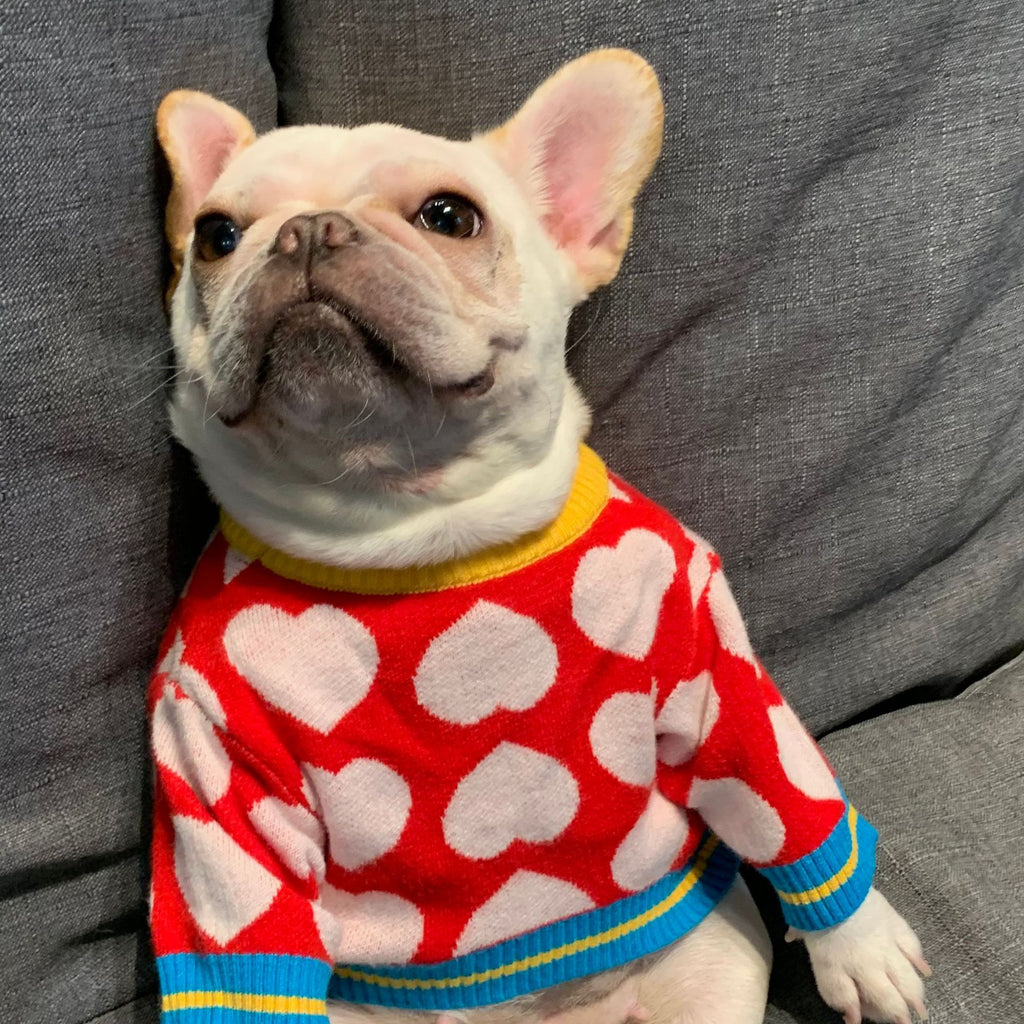 Trendy Pet Sweatshirts for Dogs and Cats (Fall/Winter)